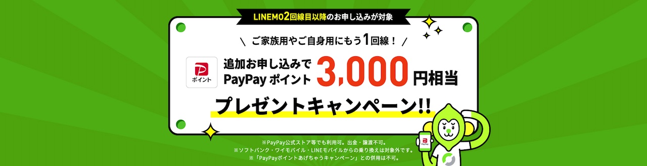 追加申込でPayPayポイント3,000円相当プレゼントキャンペーン