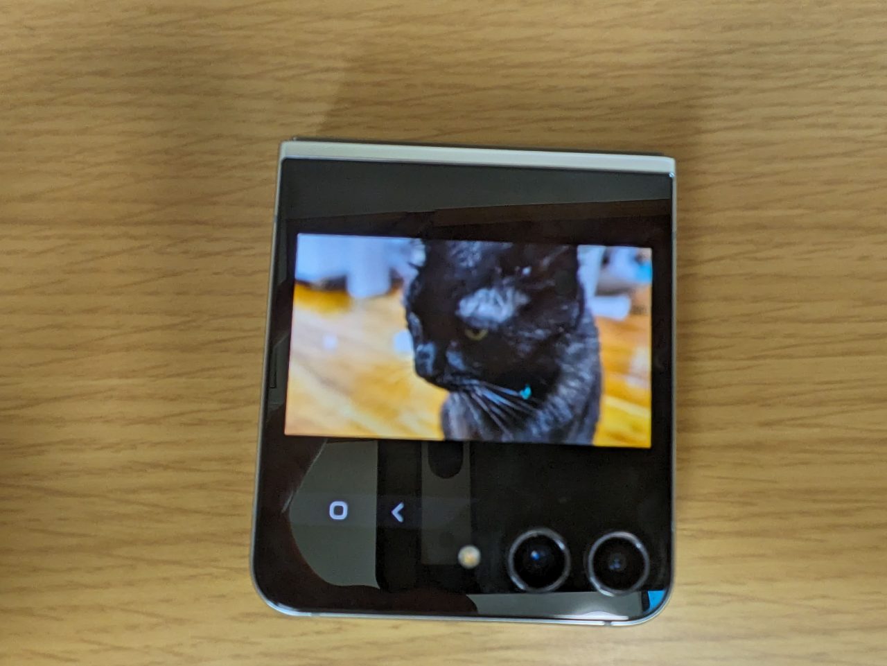 Galaxy Z Flip5実機