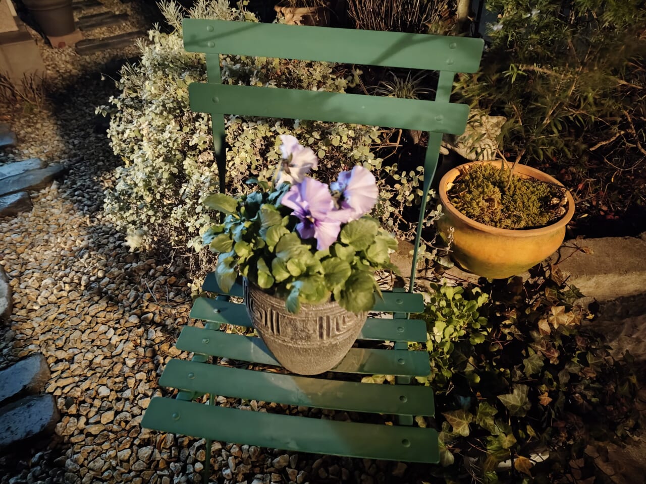 Xperia 10 VII　夜間