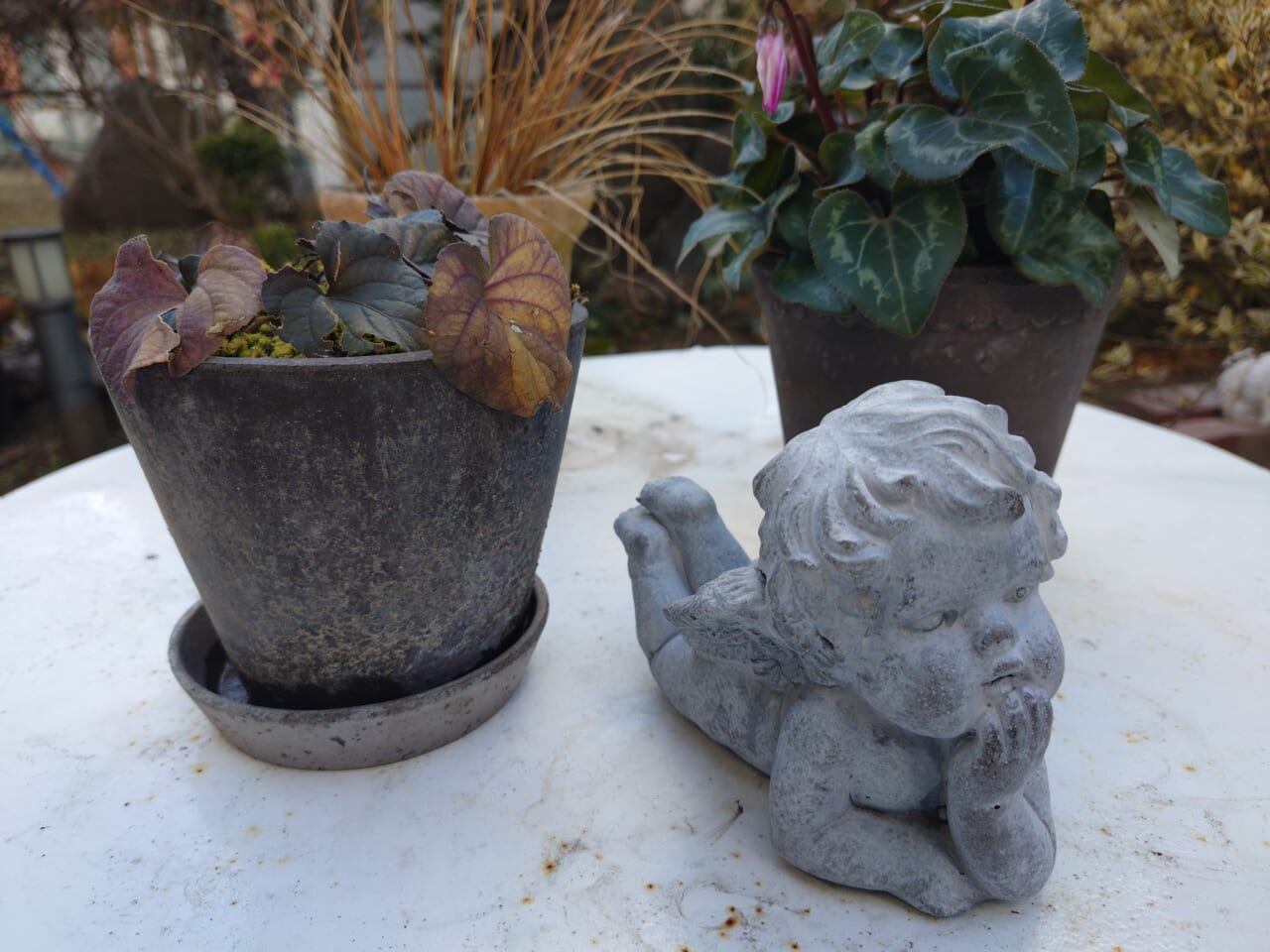 Xperia 10 VII　広角作例