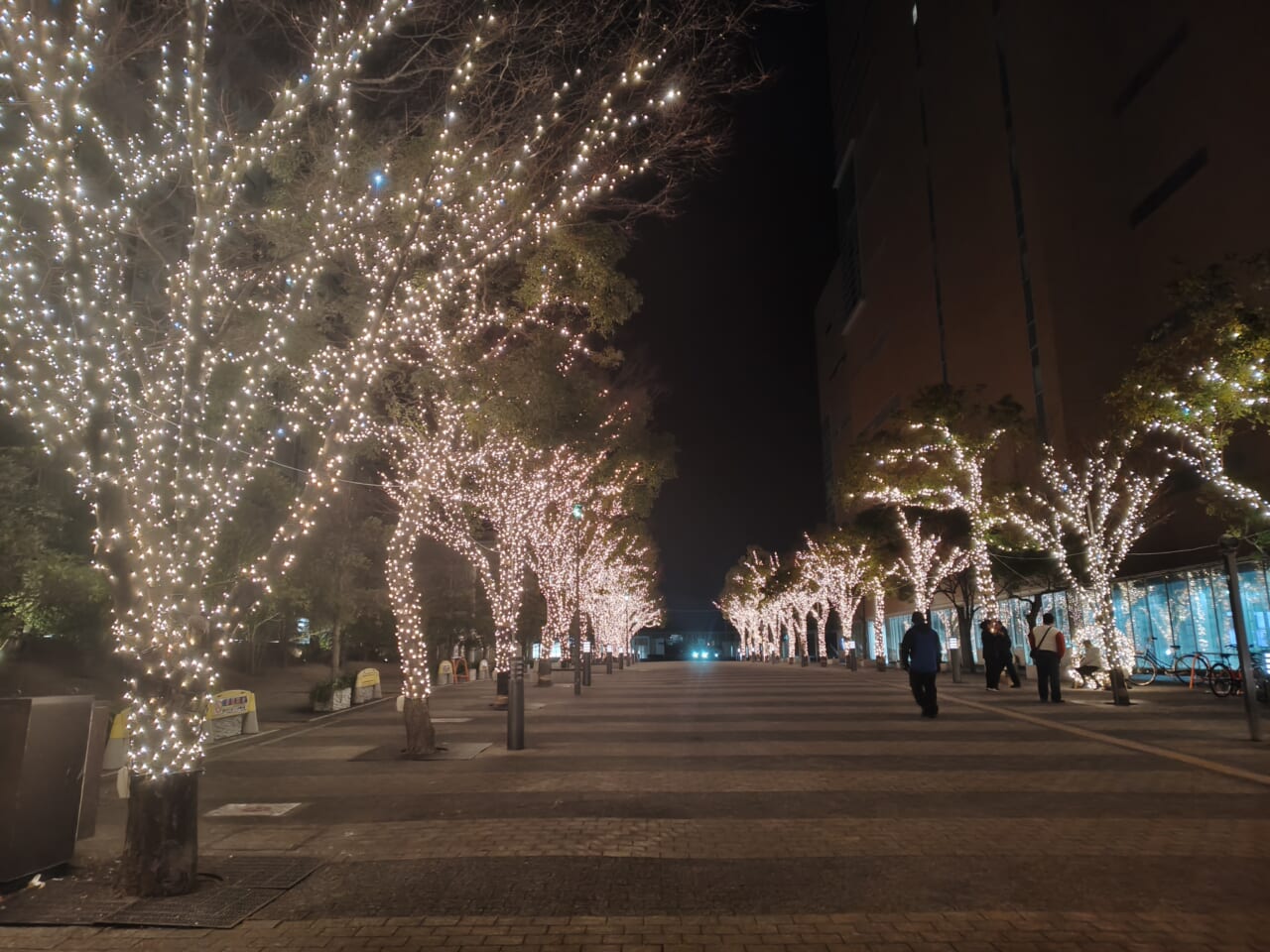 AQUOS sense10 レビュー・カメラ