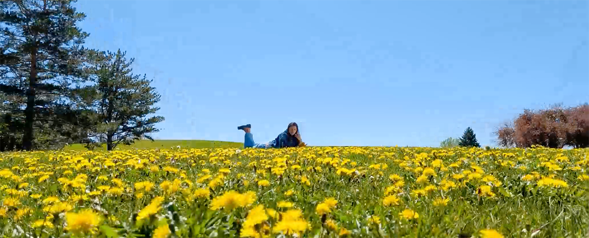 Google Pixel 10 1× 撮影例