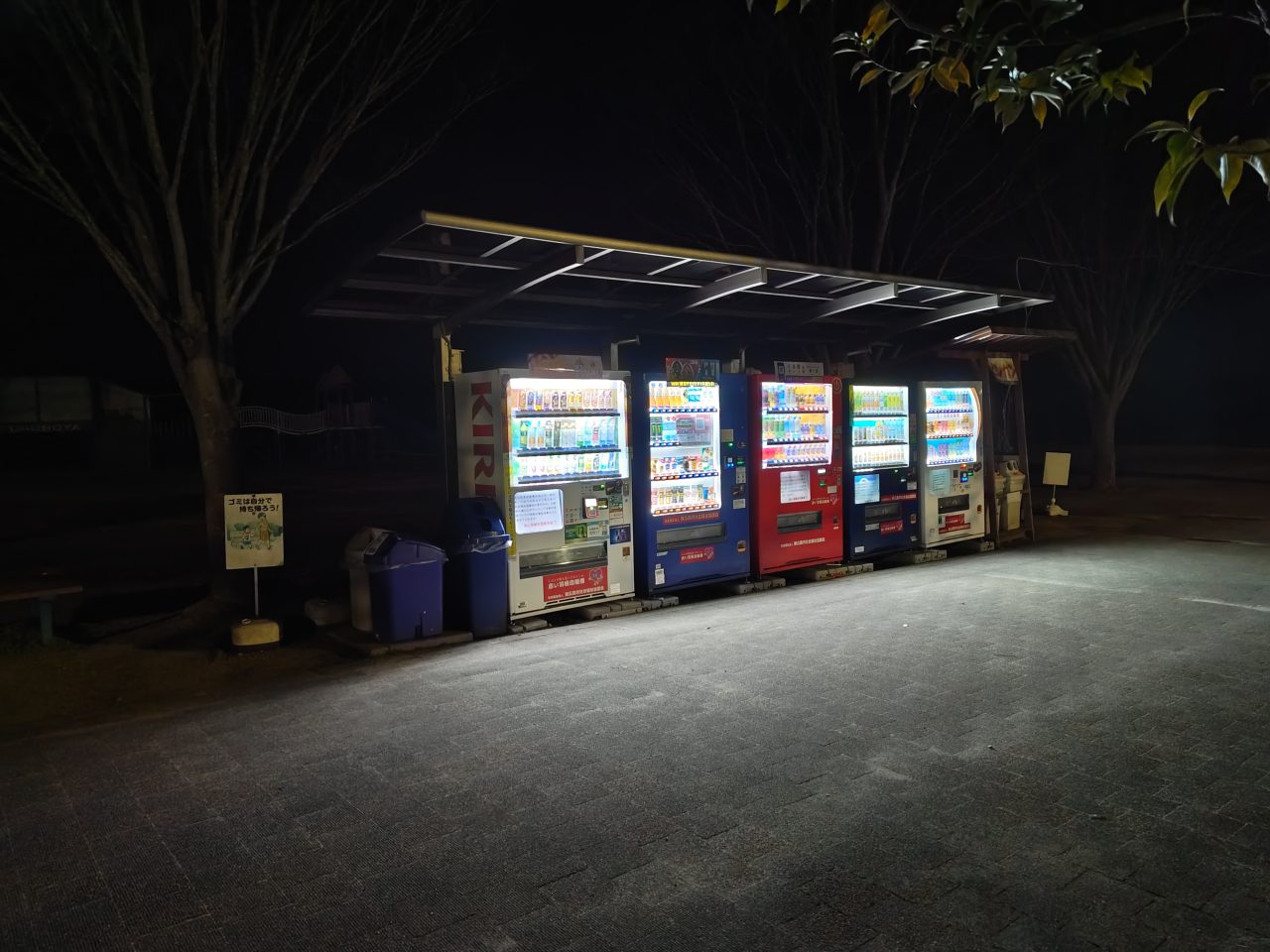 AQUOS R8 proの写真作例