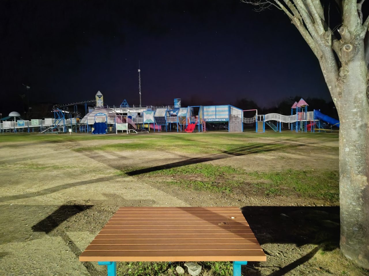 AQUOS R8 proの写真作例