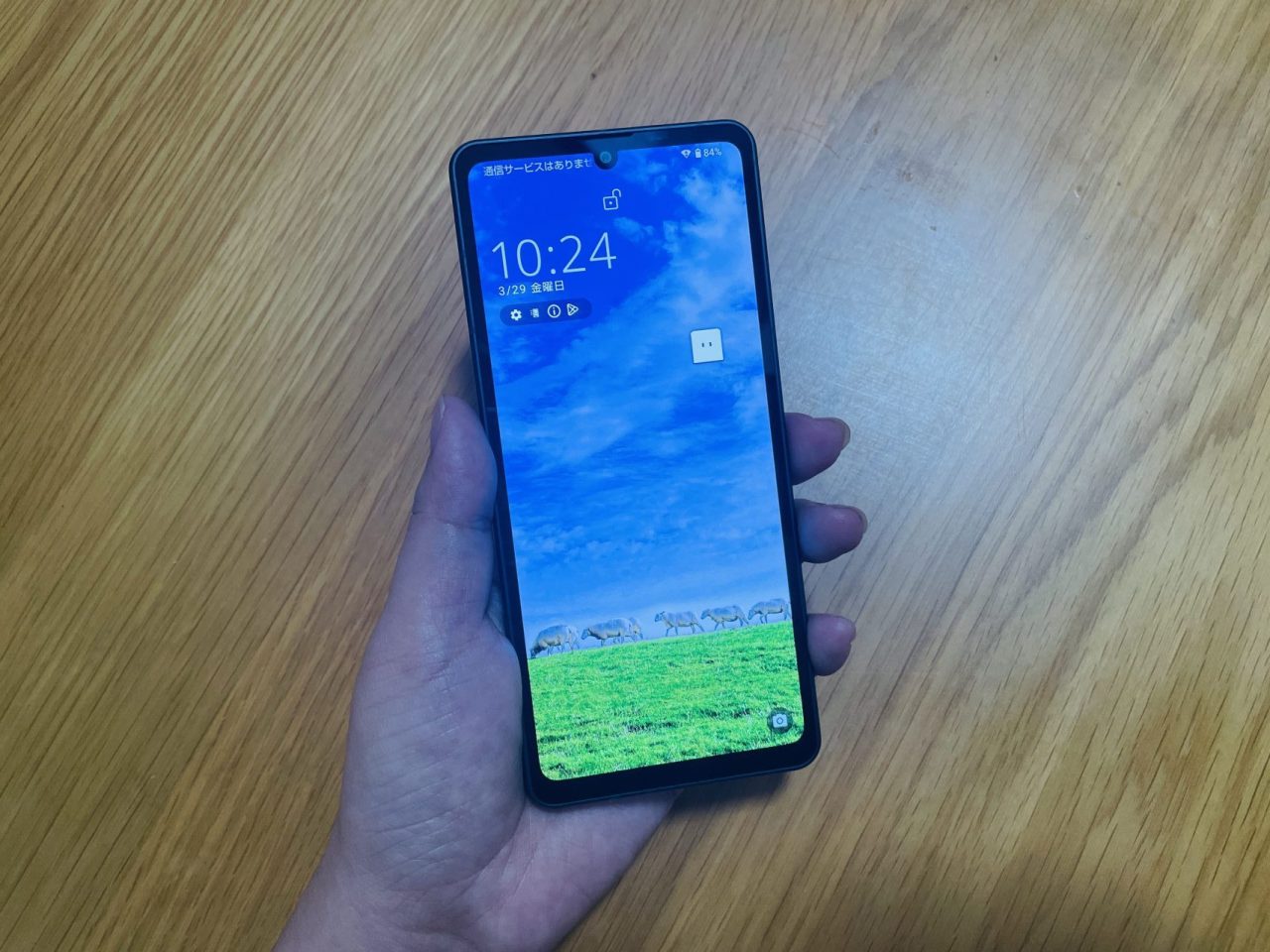AQUOS sense8実機