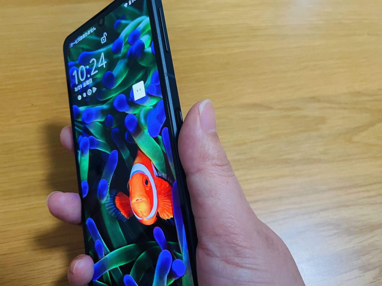 AQUOS sense8実機