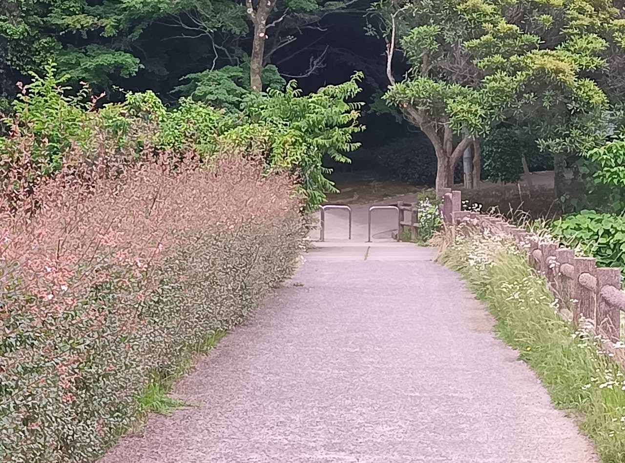 AQUOS wish3の写真作例