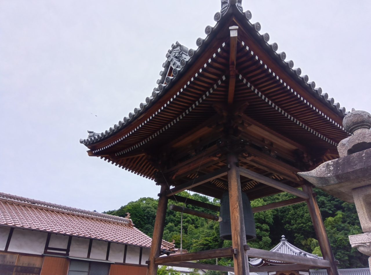 AQUOS wish3標準カメラの作例