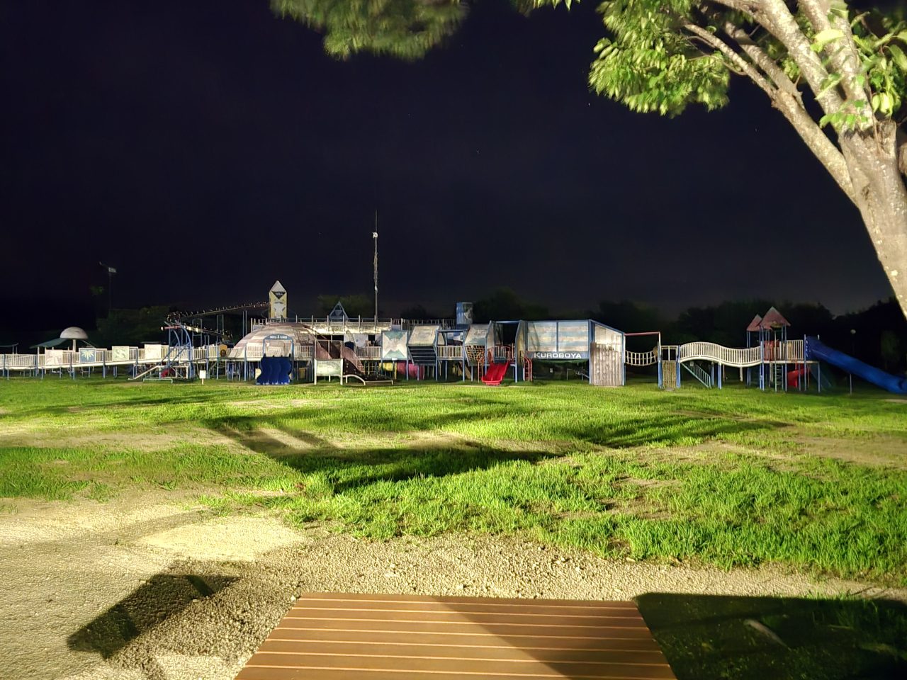 Galaxy S24 Ultraの写真作例