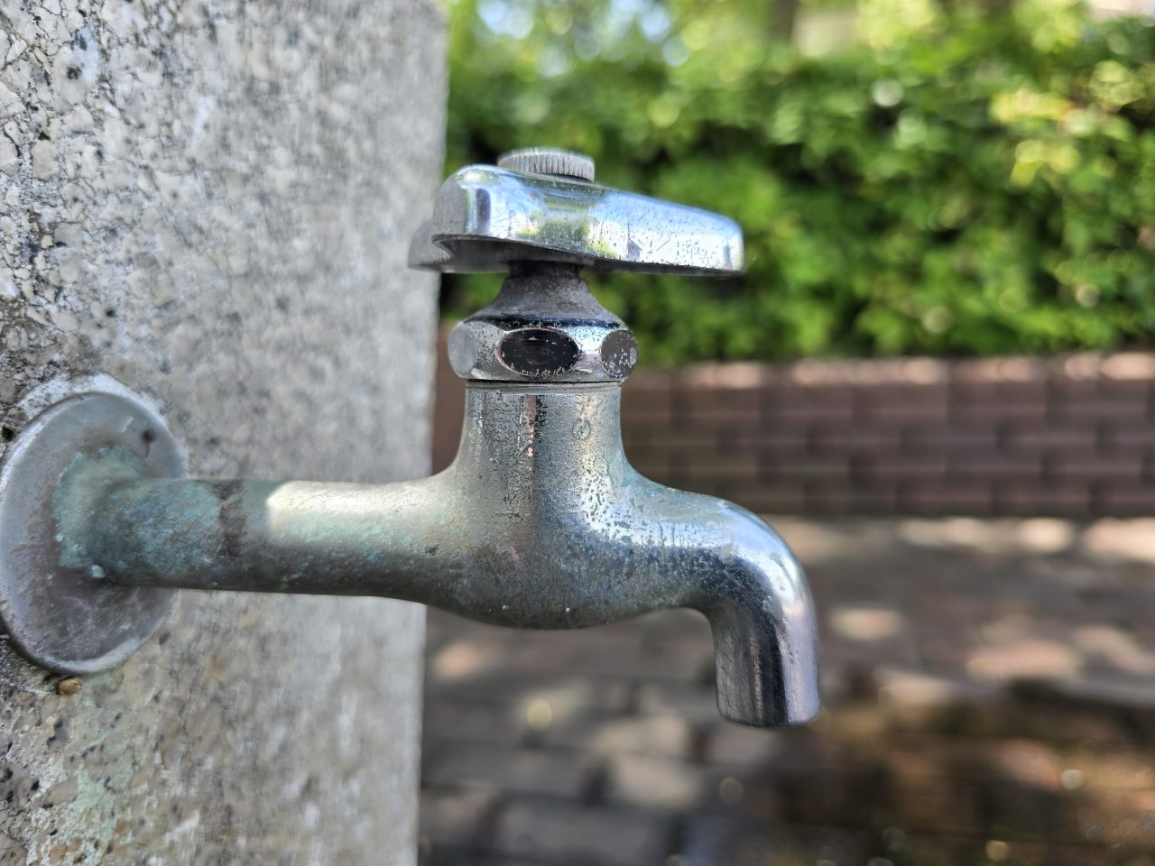 Galaxy S24 Ultraの写真作例