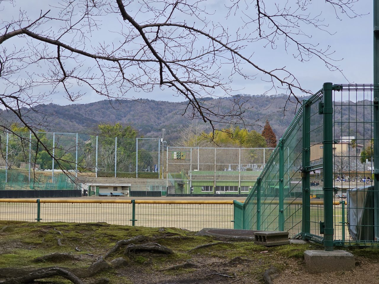 Galaxy S23 Ultraの写真作例