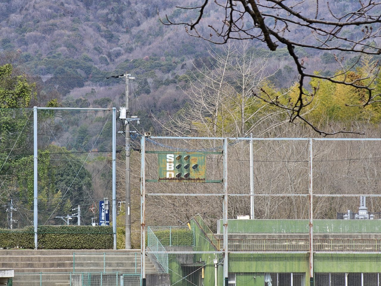 Galaxy S23 Ultraの写真作例