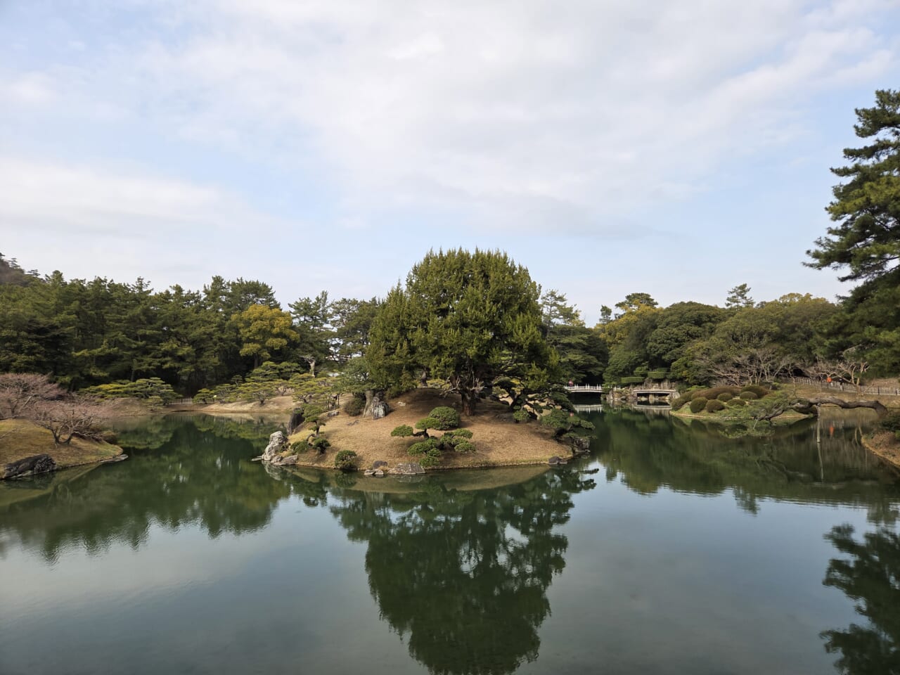 Galaxy S25 カメラ作例