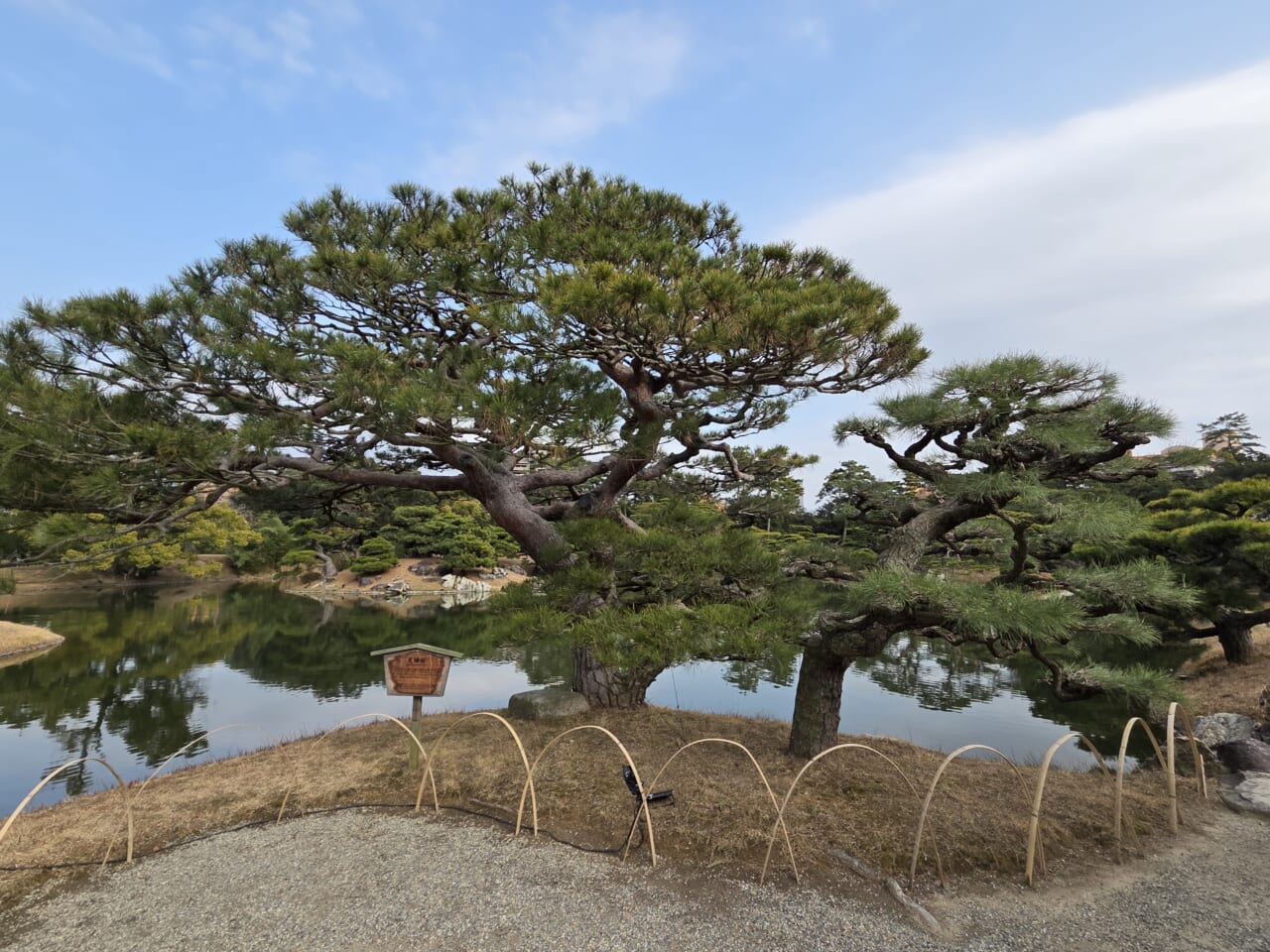 Galaxy S25 カメラ作例