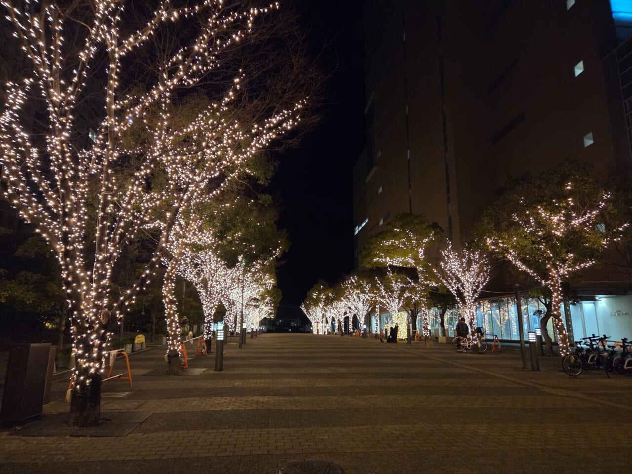 Galaxy S25 カメラ作例