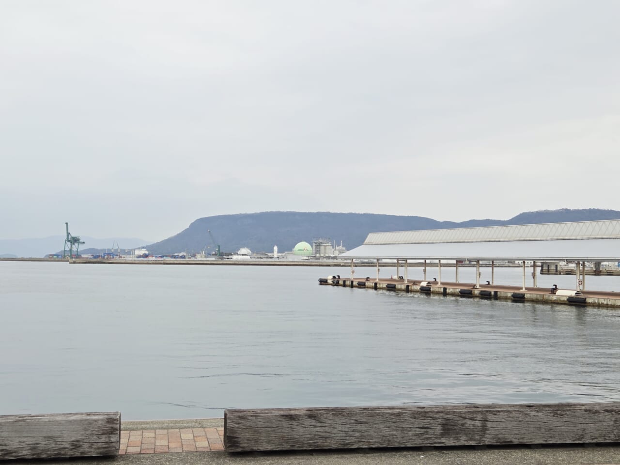 Galaxy S25 カメラ作例