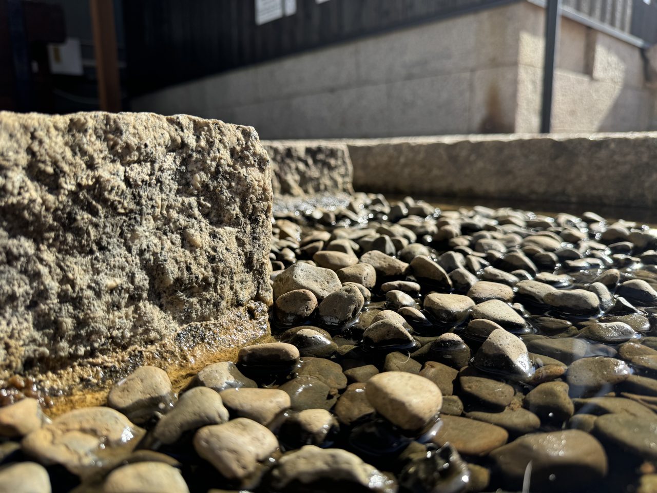 iPhone 15 Proの写真作例