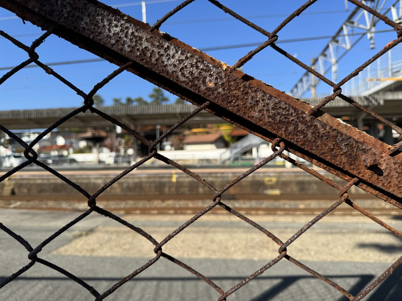 iPhone 15 Proの写真作例