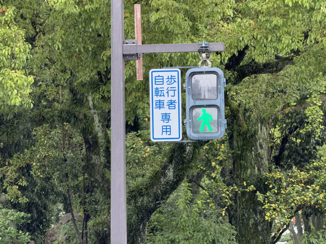 iPhone 17 Proの写真作例