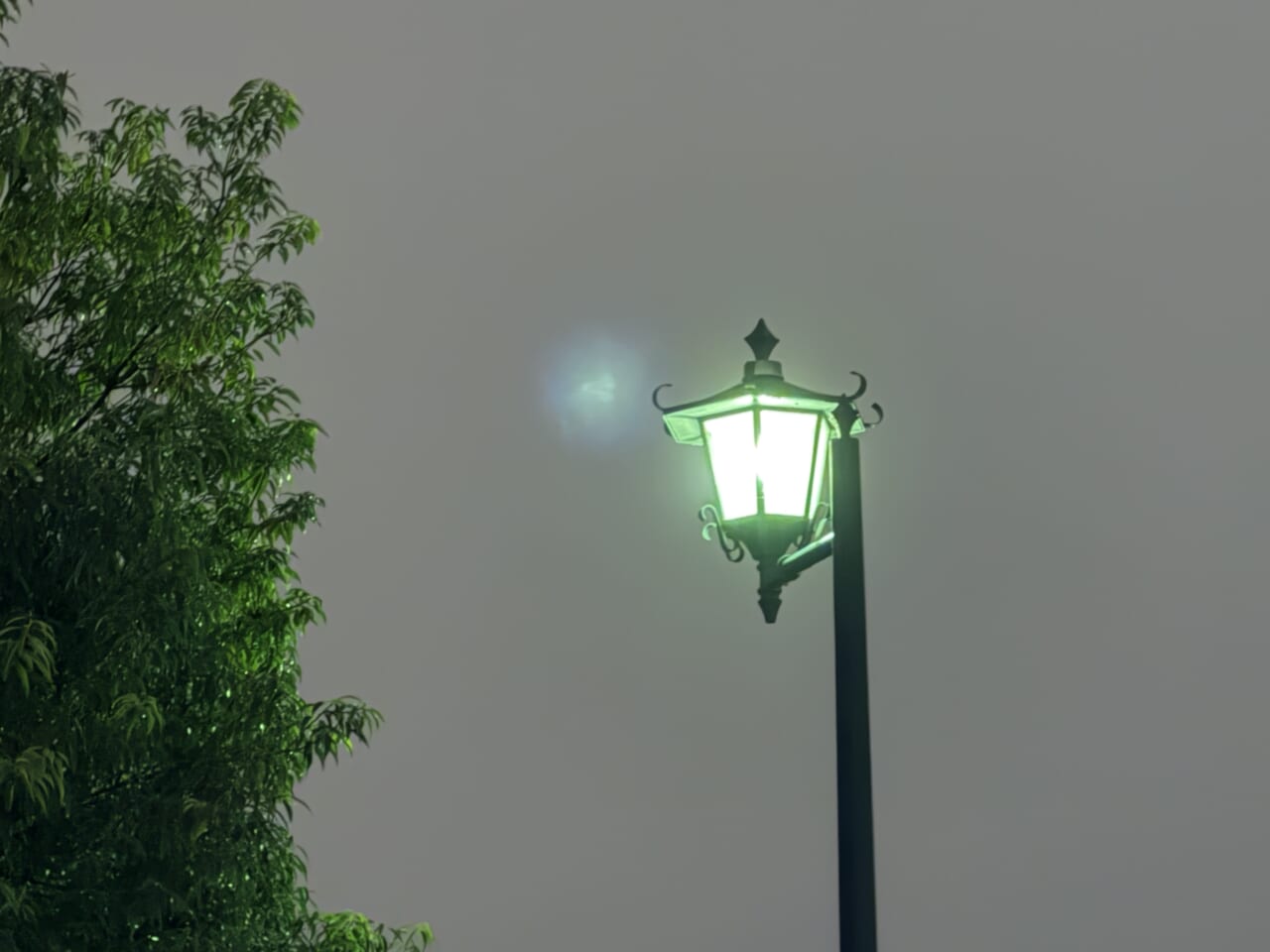 iPhone 17 Proの写真作例