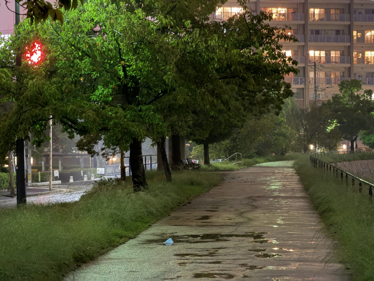 iPhone 17 Proの写真作例