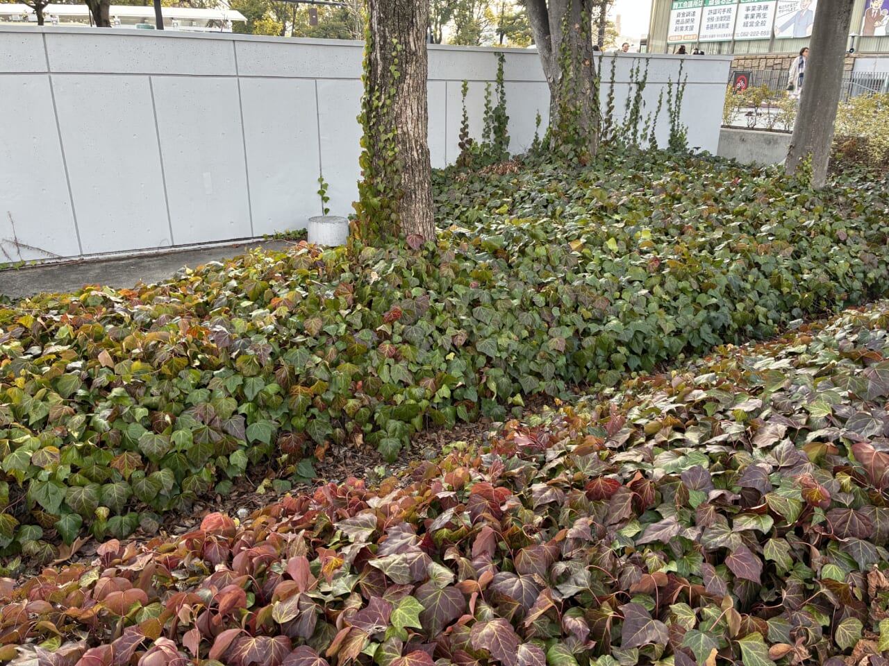 iPhone16eの写真作例