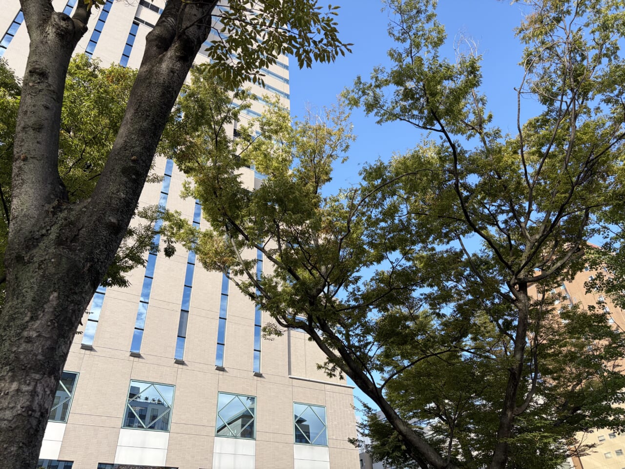 iPhone Airの写真作例