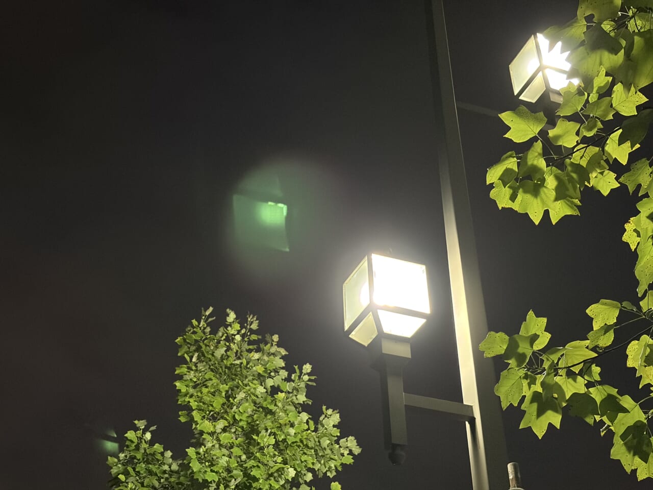 iPhone Airの写真作例