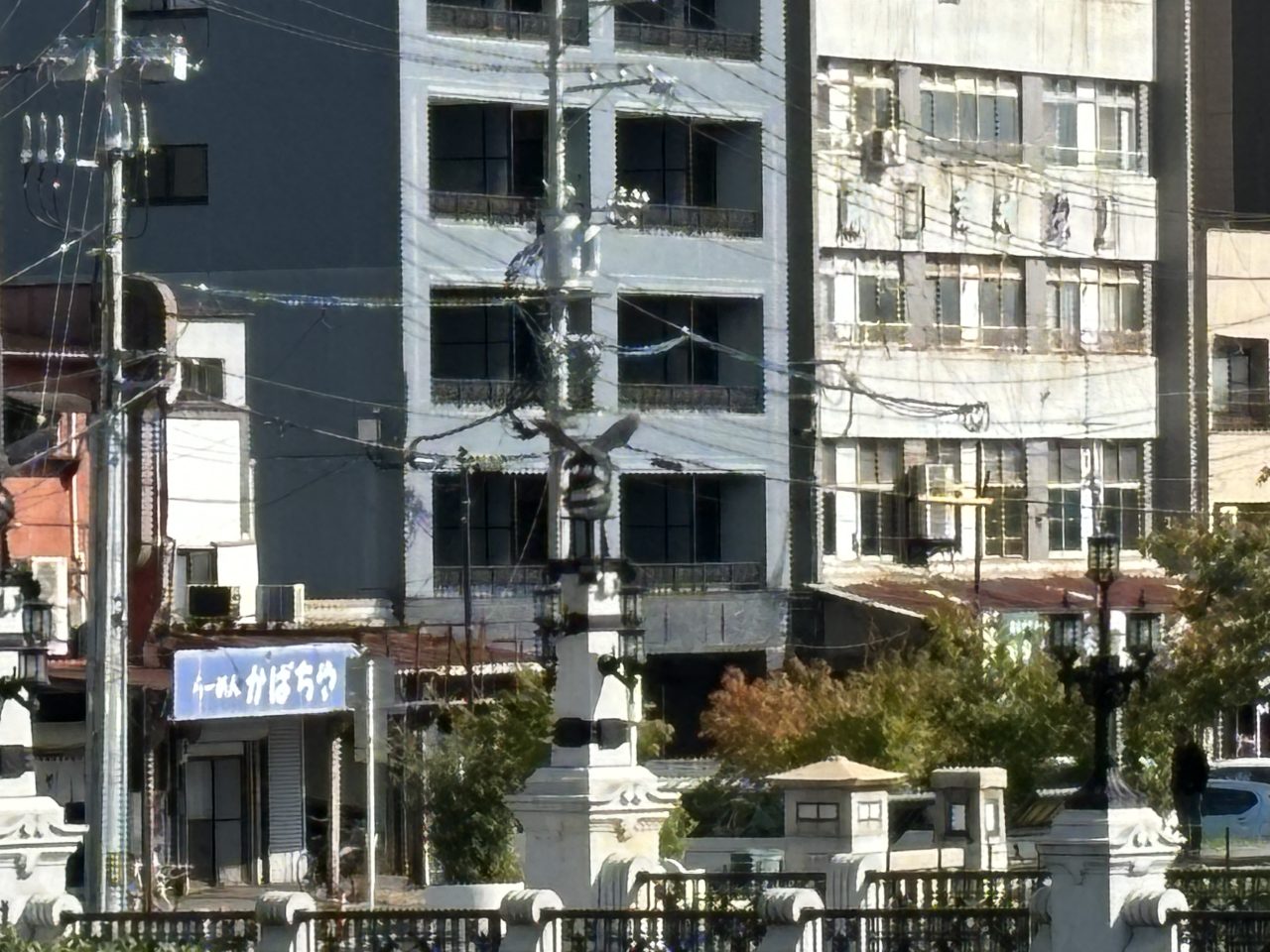 iPhone15写真作例