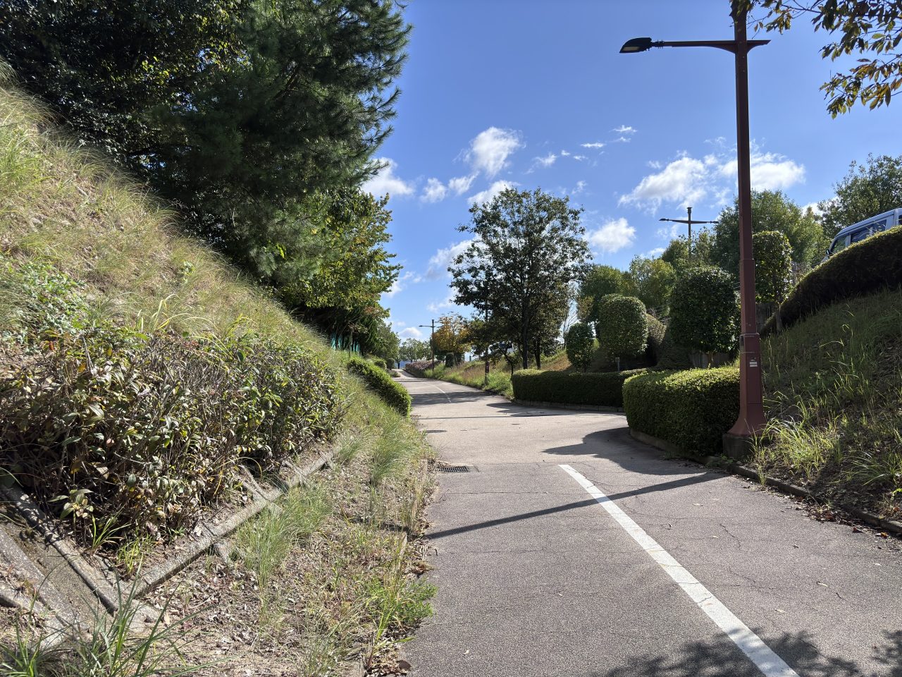 iPhone15写真作例