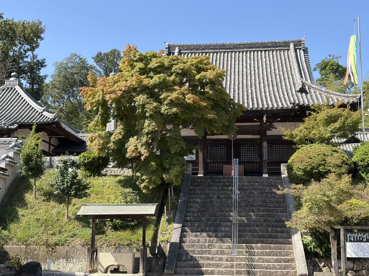 iPhone17の日中作例-3