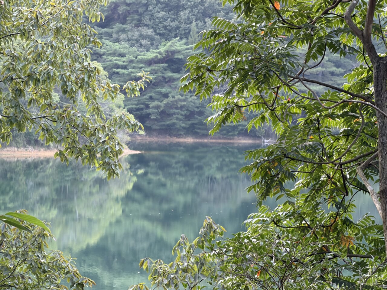 iPhone17 Pro Maxのカメラ作例10