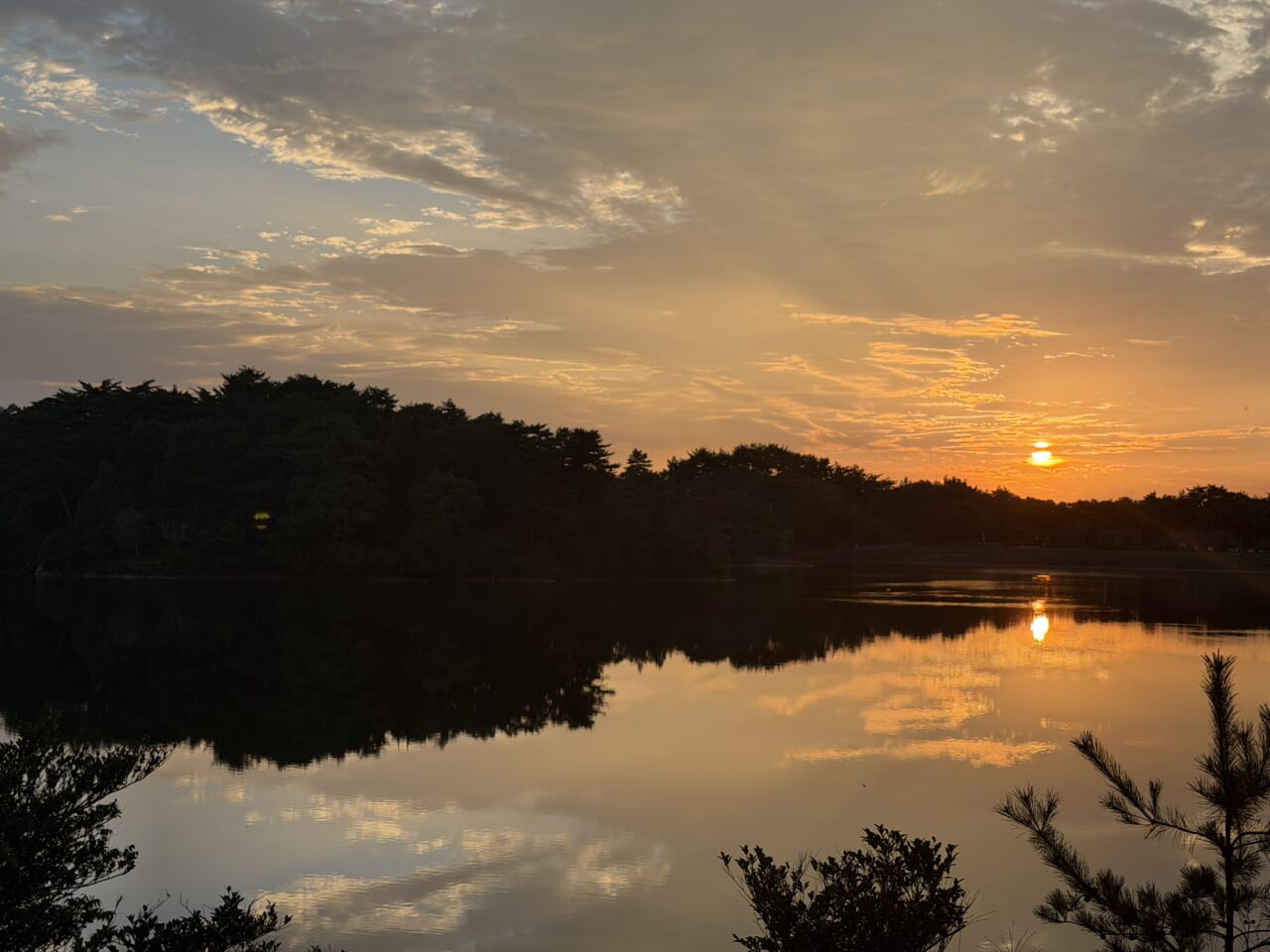 iPhone17 Pro Maxのカメラ作例2