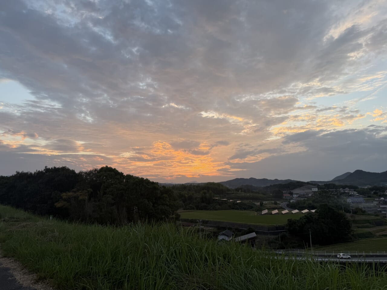 iPhone17 Pro Maxのカメラ作例6