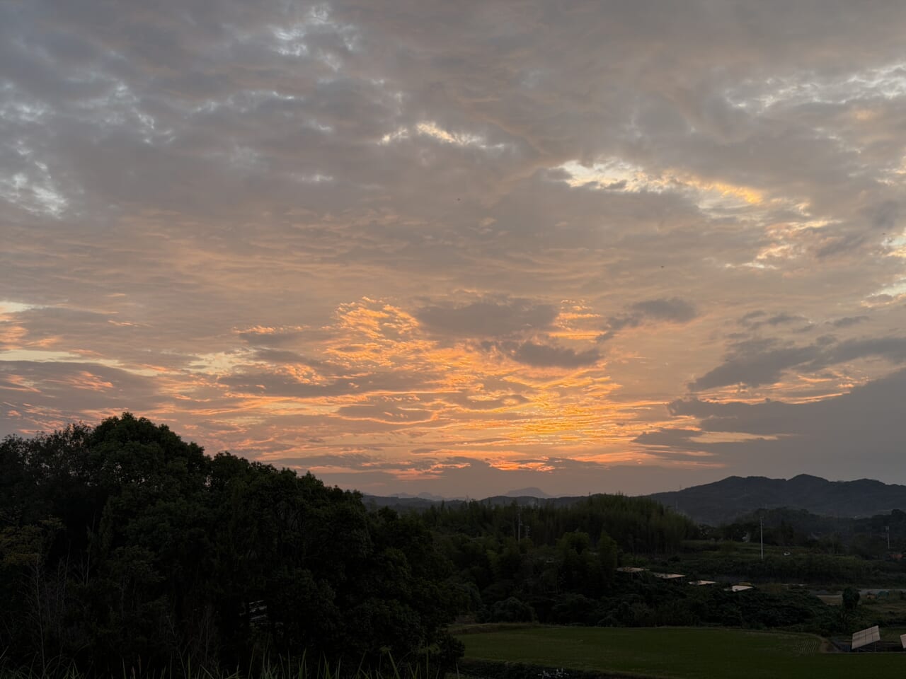 iPhone17 Pro Maxのカメラ作例7