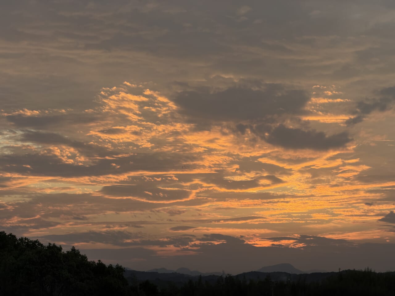 iPhone17 Pro Maxのカメラ作例8