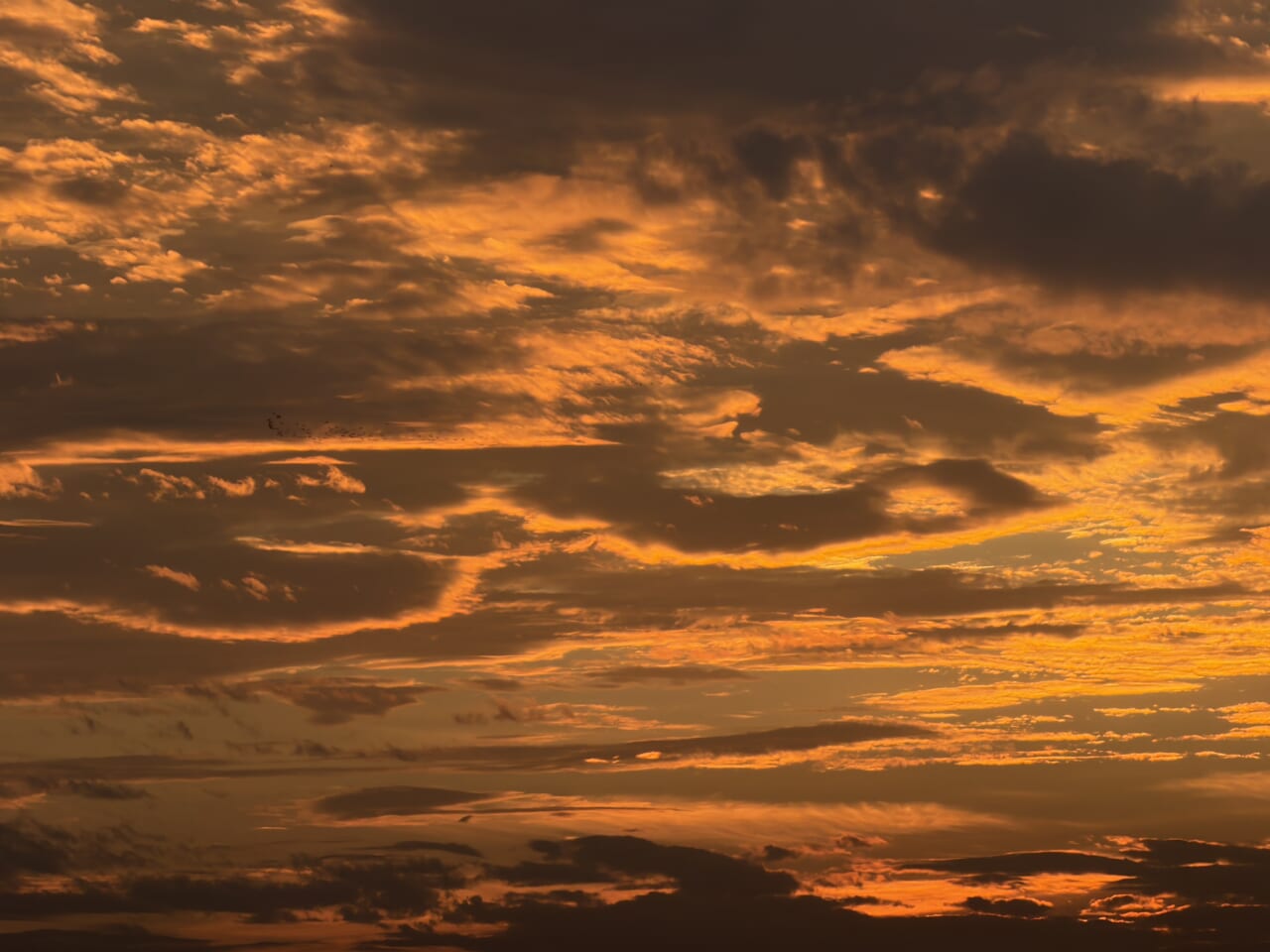 iPhone17 Pro Maxのカメラ作例9