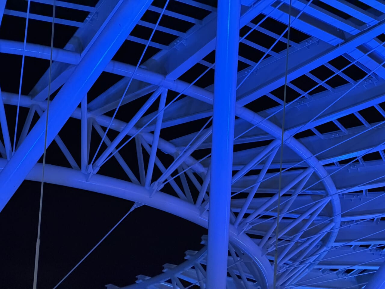 iPhone17 Pro Maxのカメラ作例19