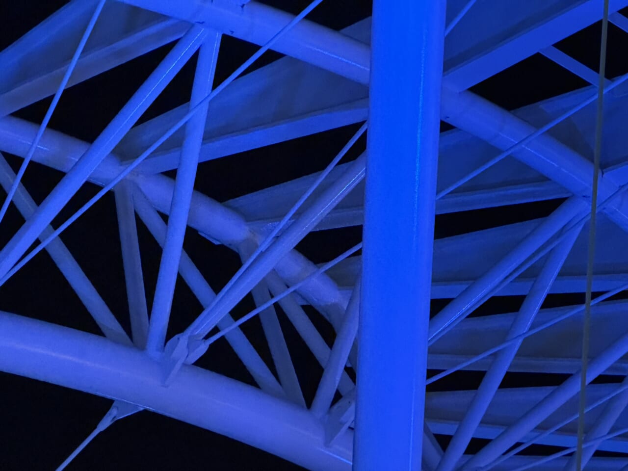 iPhone17 Pro Maxのカメラ作例20