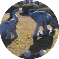 サクユミコ