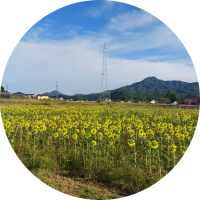 ゴロー