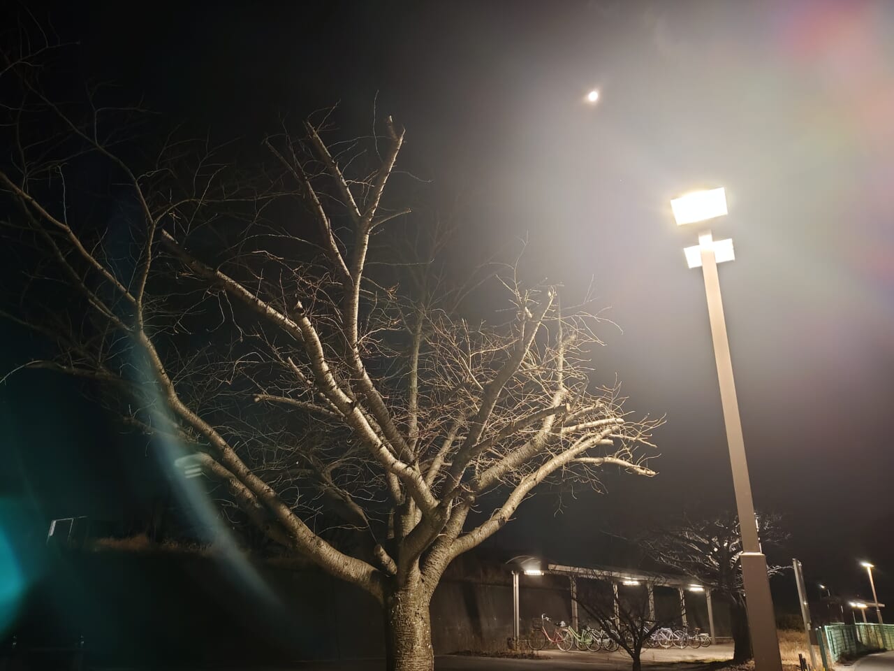 Xperia 10 VII　夜間