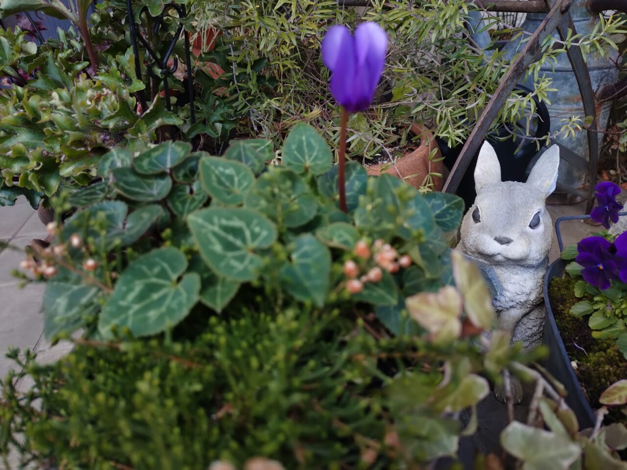 Xperia 10 VII　広角作例