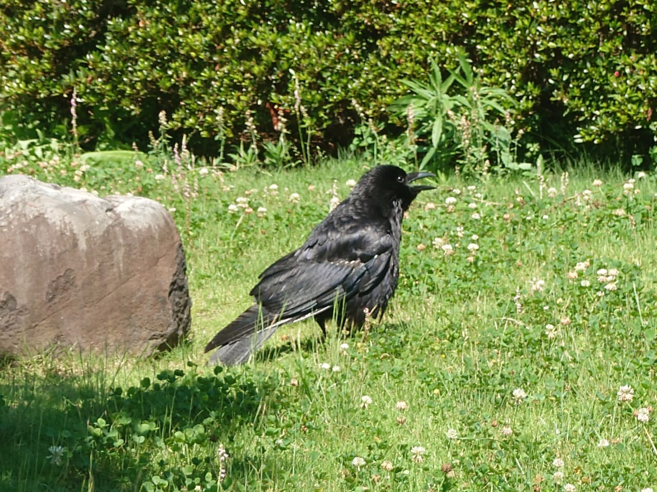 Xperia 1 VIIの望遠性能8