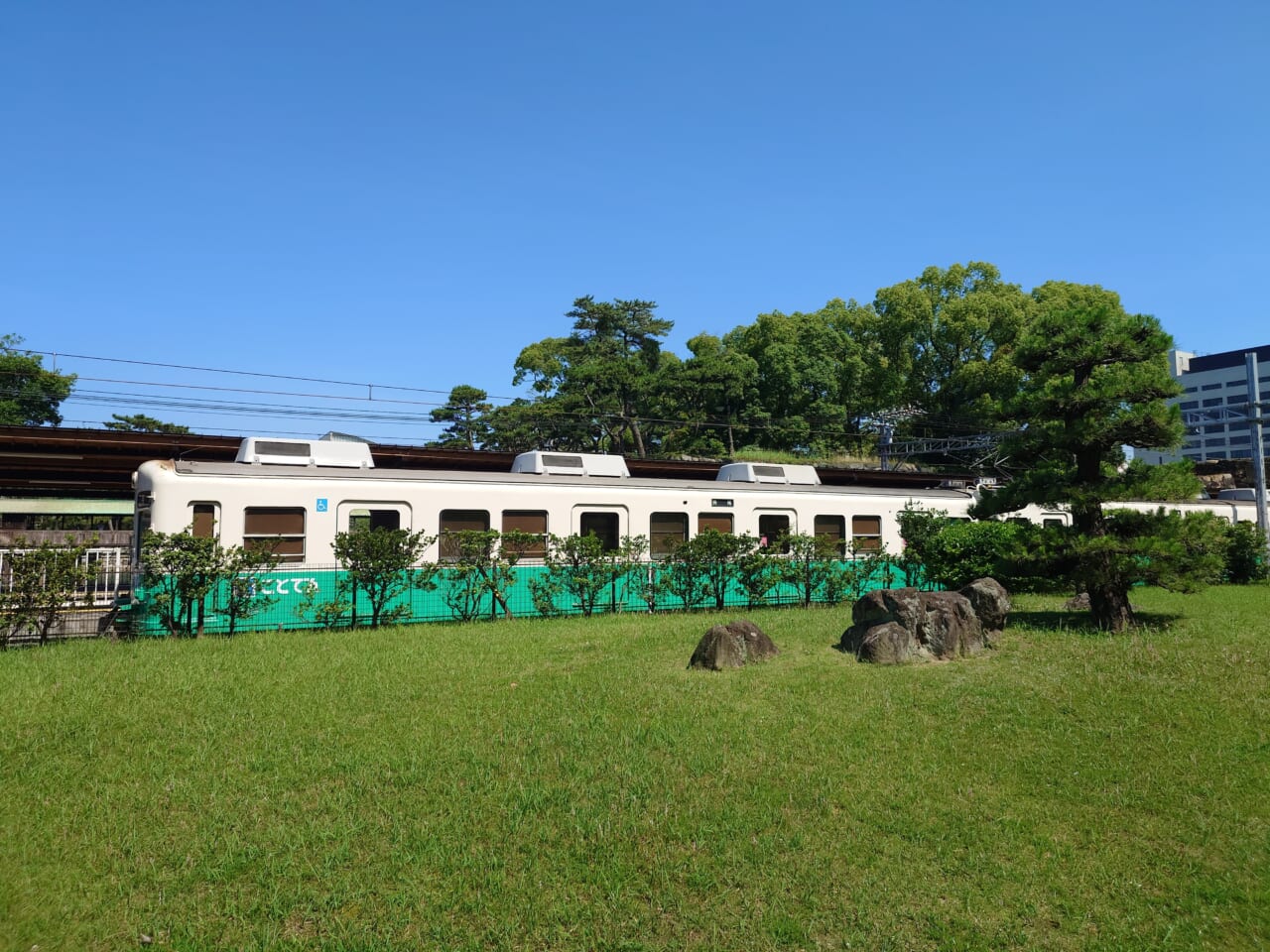 Xperia 1 VIIの日中の撮影5