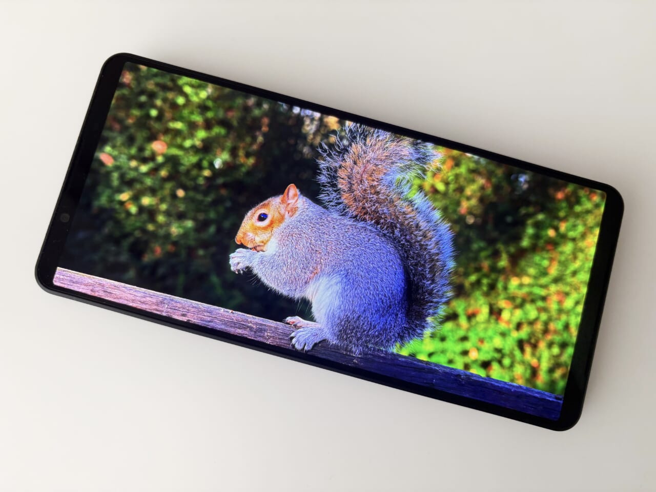 Xperia 1 VIIのディスプレイ性能
