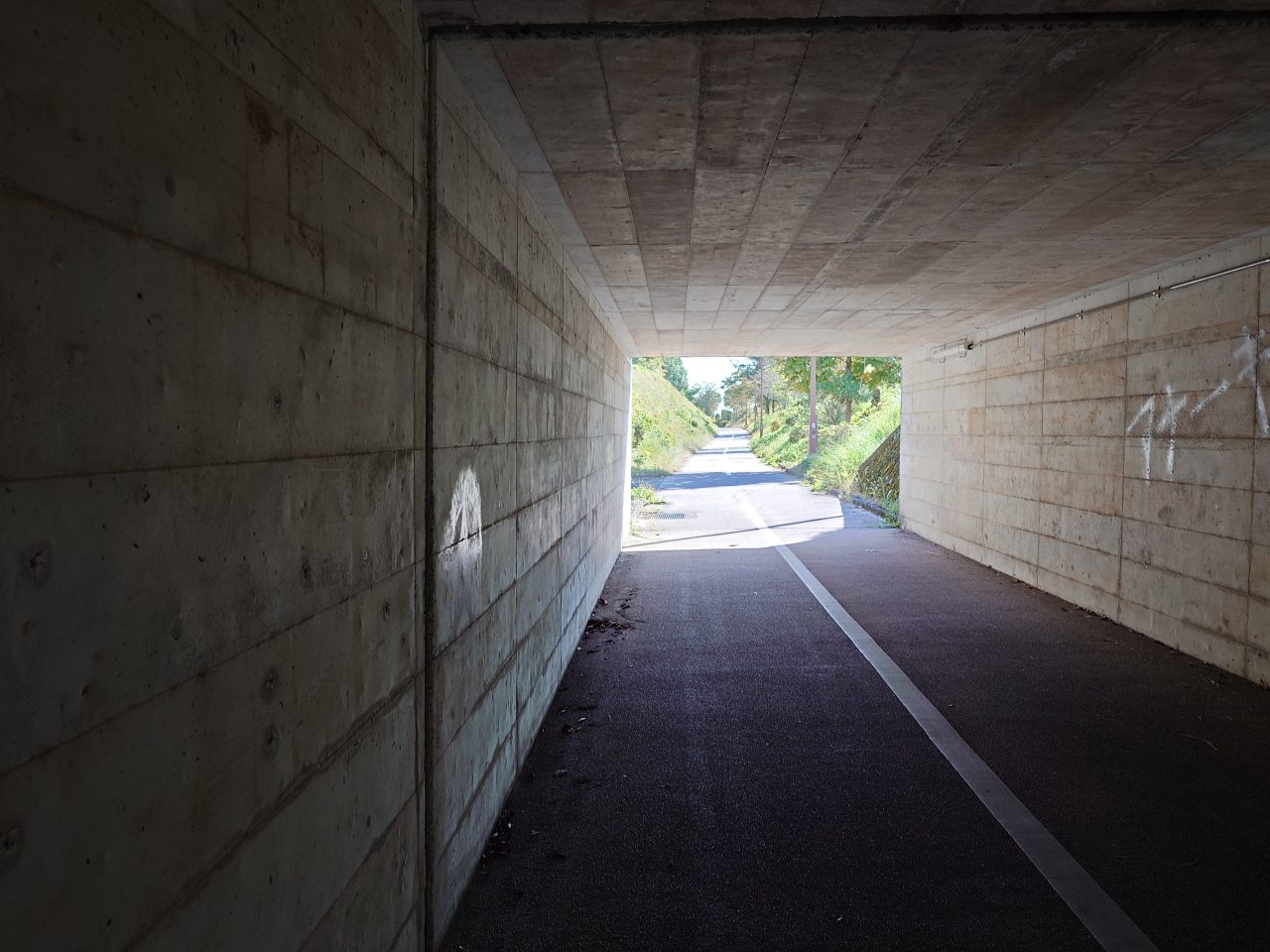 Xperia 5 V写真作例